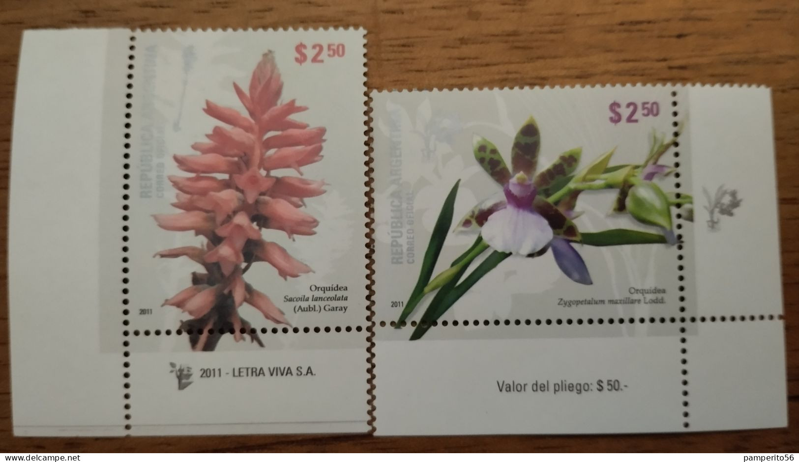 ARGENTINA - AÑO 2011 - FLORES - ORQUIDEAS Serie Completa De 2 Sellos - MNH - Flowers - Nuevos