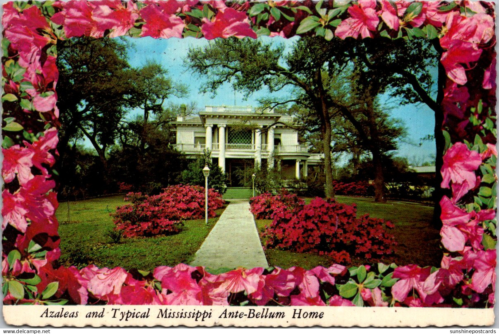 Mississippi Beautiful Azaleas And Typical Ante-Bellum Home - Autres & Non Classés