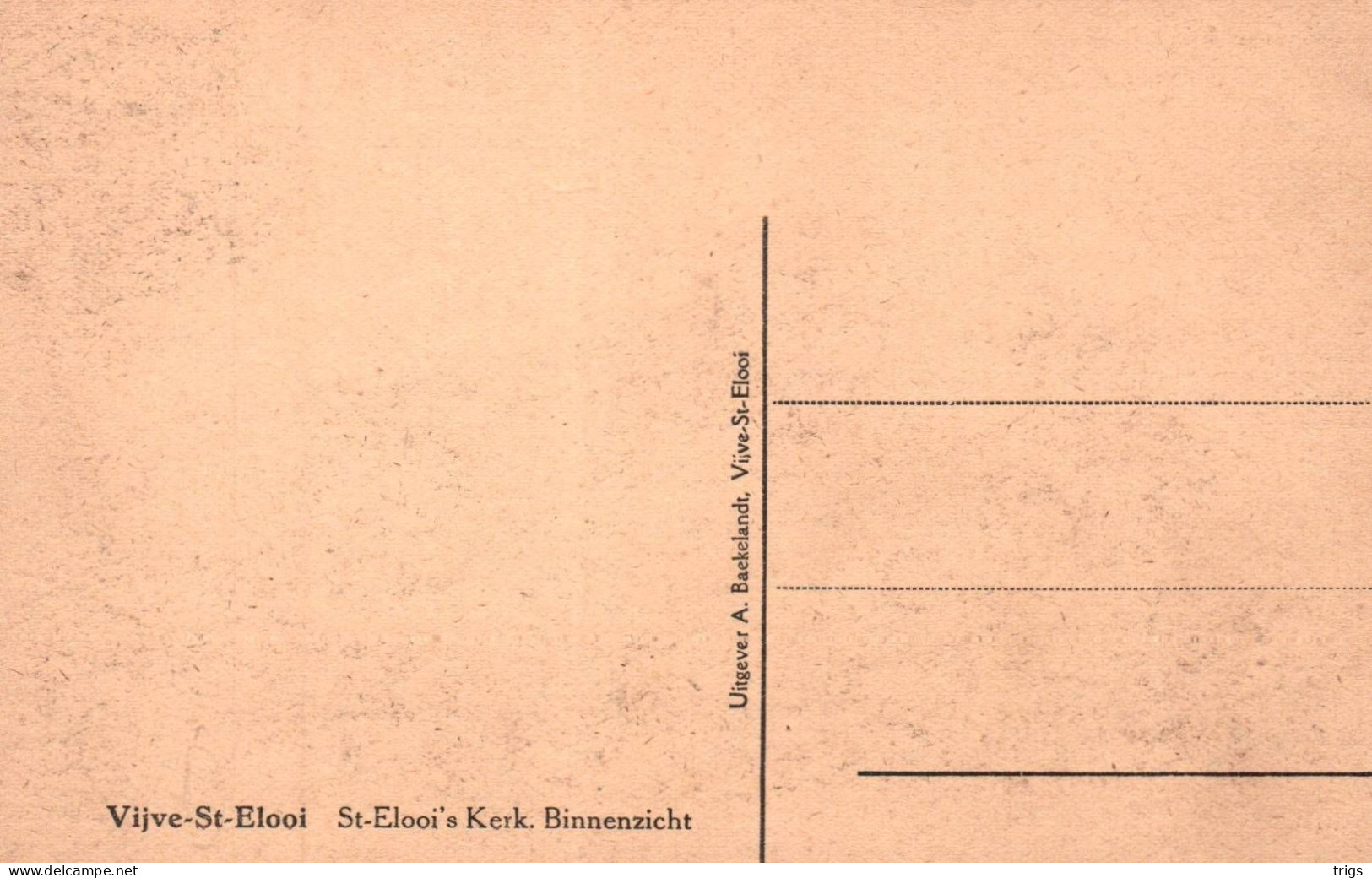 Vijve St. Elooi - St. Elooi's Kerk (Binnenzicht) - Waregem