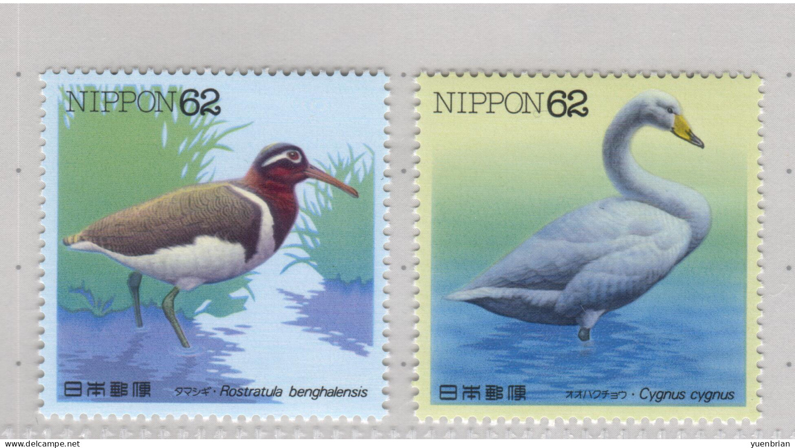 Japan 1992, Bird, Birds, Swan, 2v, MNH** - Cisnes