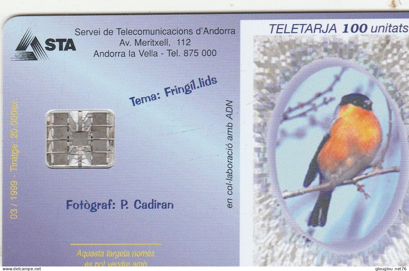 TELECARTE .PRINCIPAUTE D'ANDORRE  100 UNITATS. - Andorra