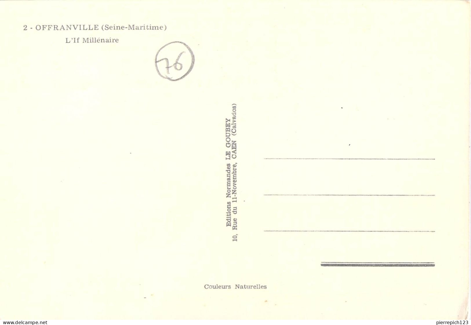 76 - Offranville - L'If Millénaire - Offranville