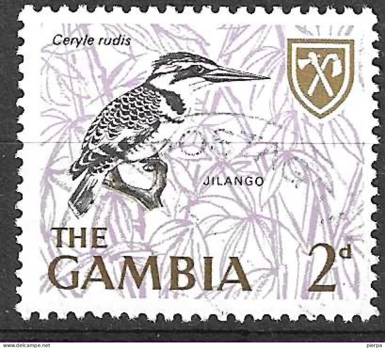 GAMBIA - 1966 - UCCELLI - CERYLE RUDIS - 2D - USATO ( YVERT 211 - MICHEL 213) - Sparrows
