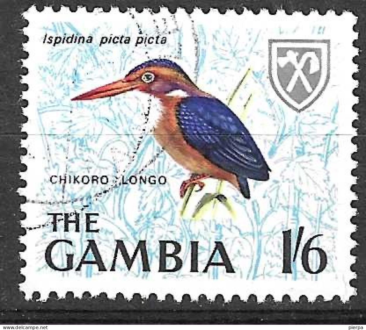 GAMBIA - 1966 - UCCELLI - ISPIDINA PICTA PICTA - 1,6 - USATO ( YVERT 216 - MICHEL 218) - Spatzen