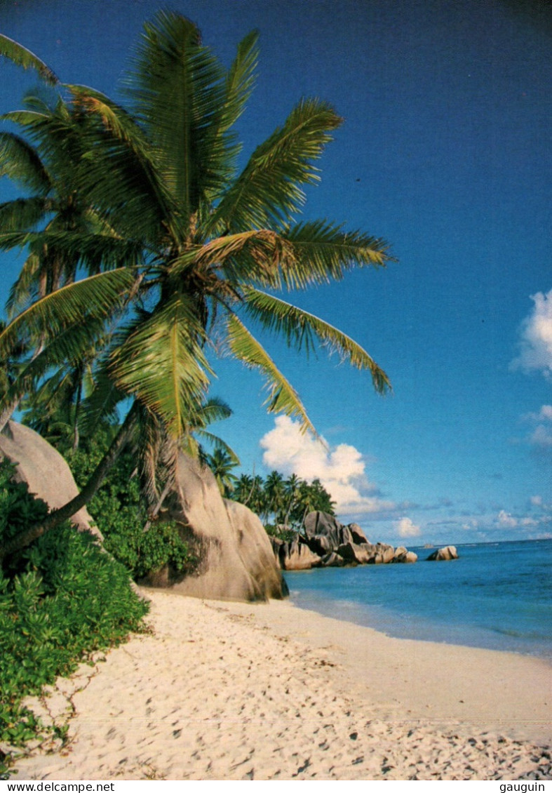 CPM - SEYCHELLES - Vues Plages ... LOT 2 CP à Saisir - Seychelles