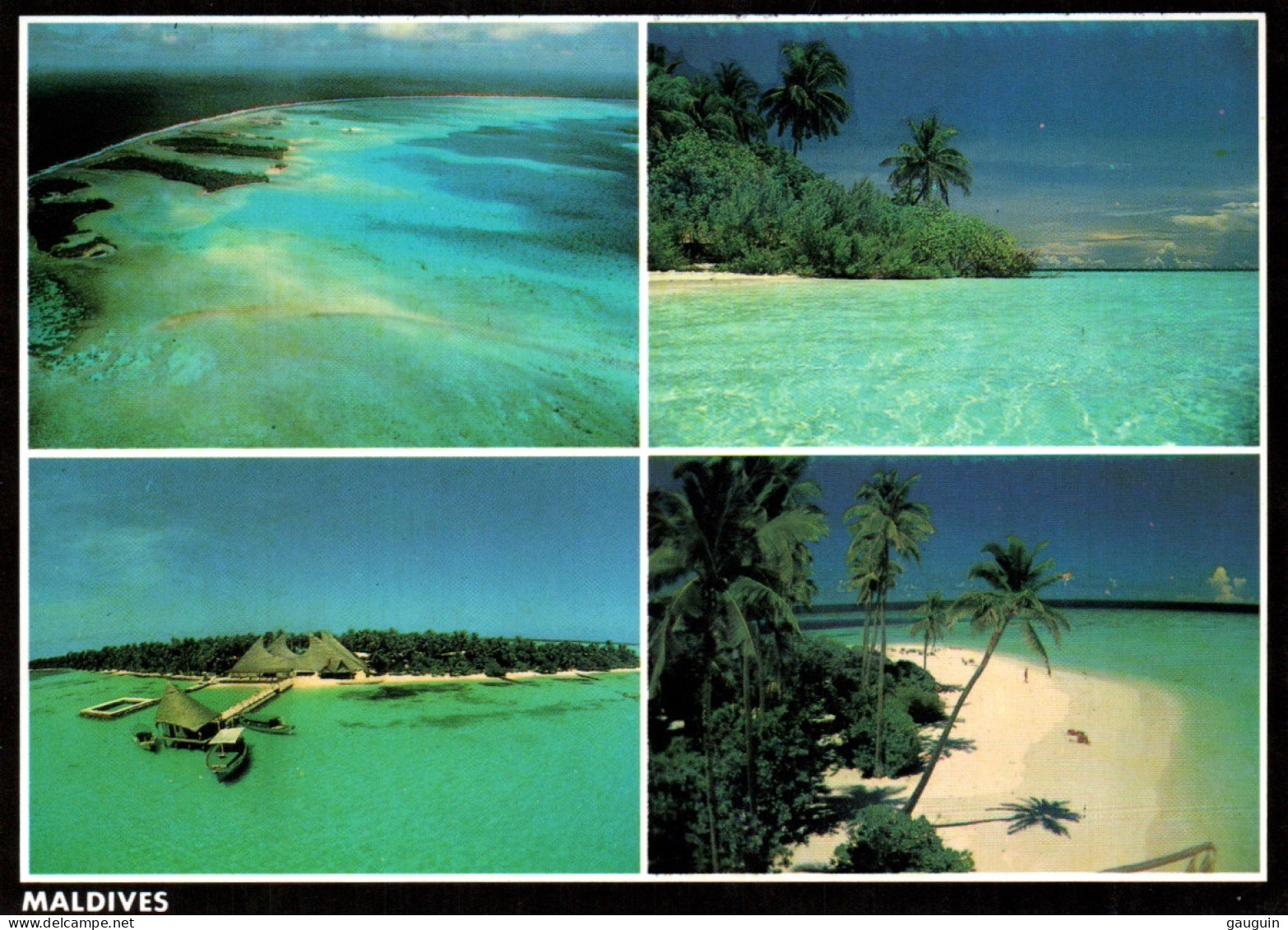 CPM - MALDIVES - Vues Diverses ... LOT 5 CP à Saisir - Maldives