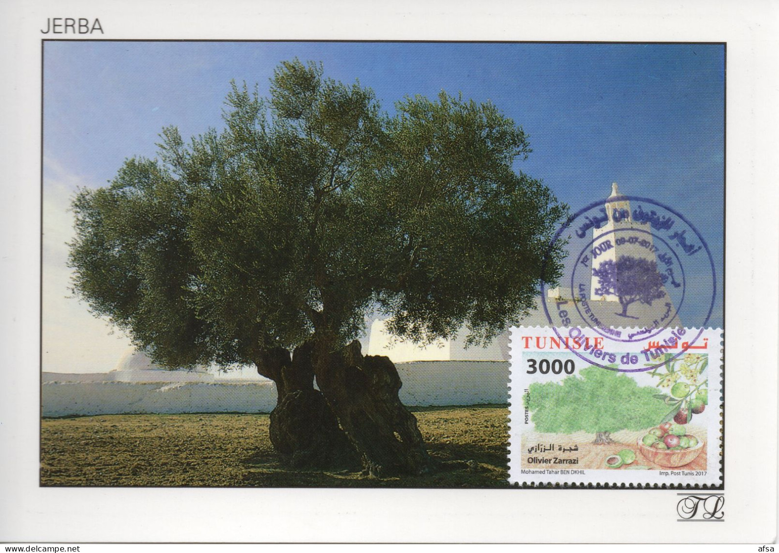 Tunisie -Carte Maximum (les Oliviers) //Tunisia -Maximum Card (olive  Tree) - Agriculture