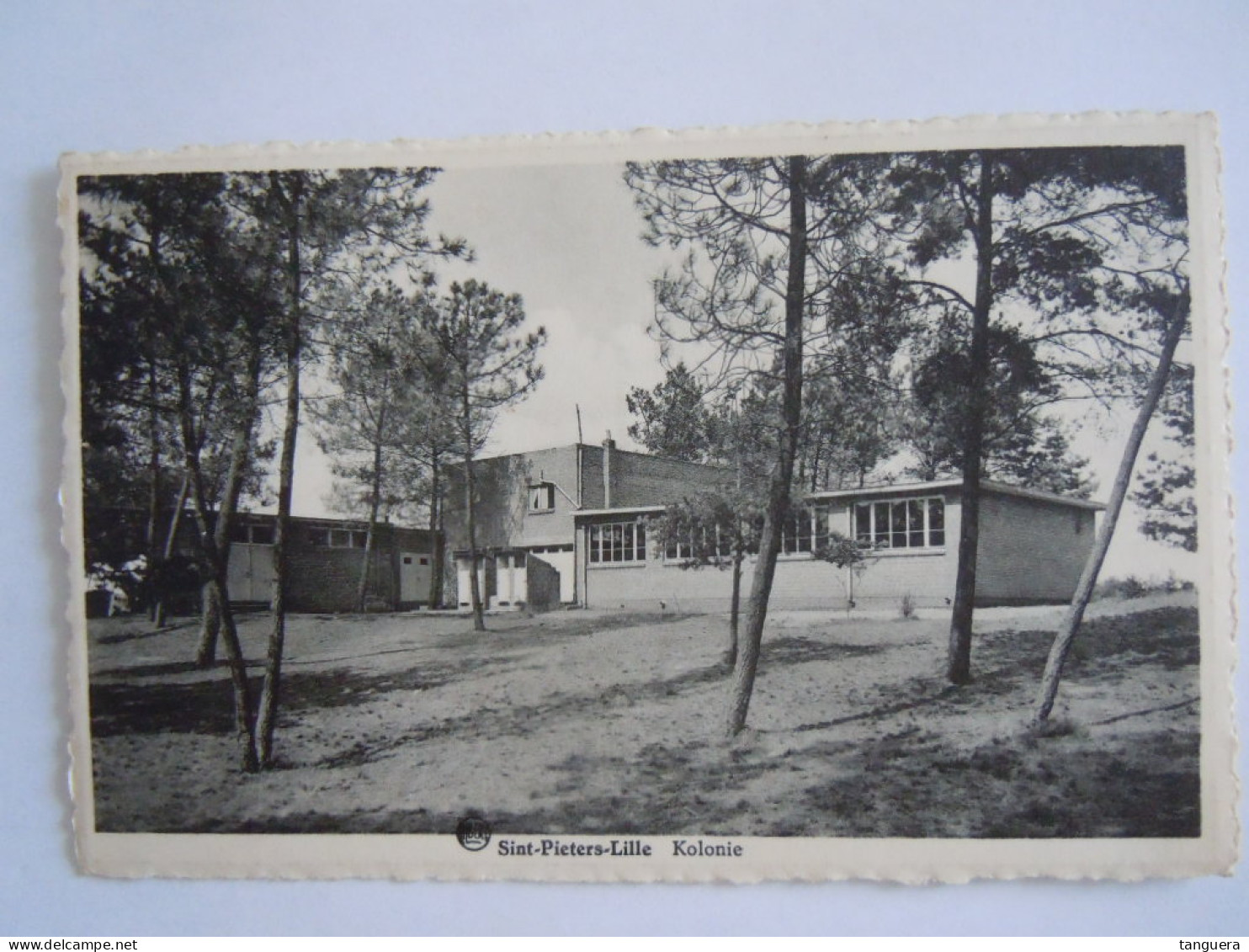 Sint-Pieters-Lille Kolonie Uitg: Proost-Vanden Broeck Albert Gelopen 1960 - Lille