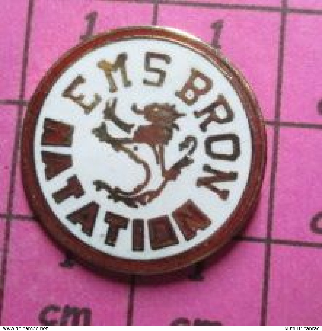 2617 Pin's Pins / Beau Et Rare / THEME : SPORTS / CLUB SPORTIF EMS BRON NATATION LION HERALDIQUE - Schwimmen