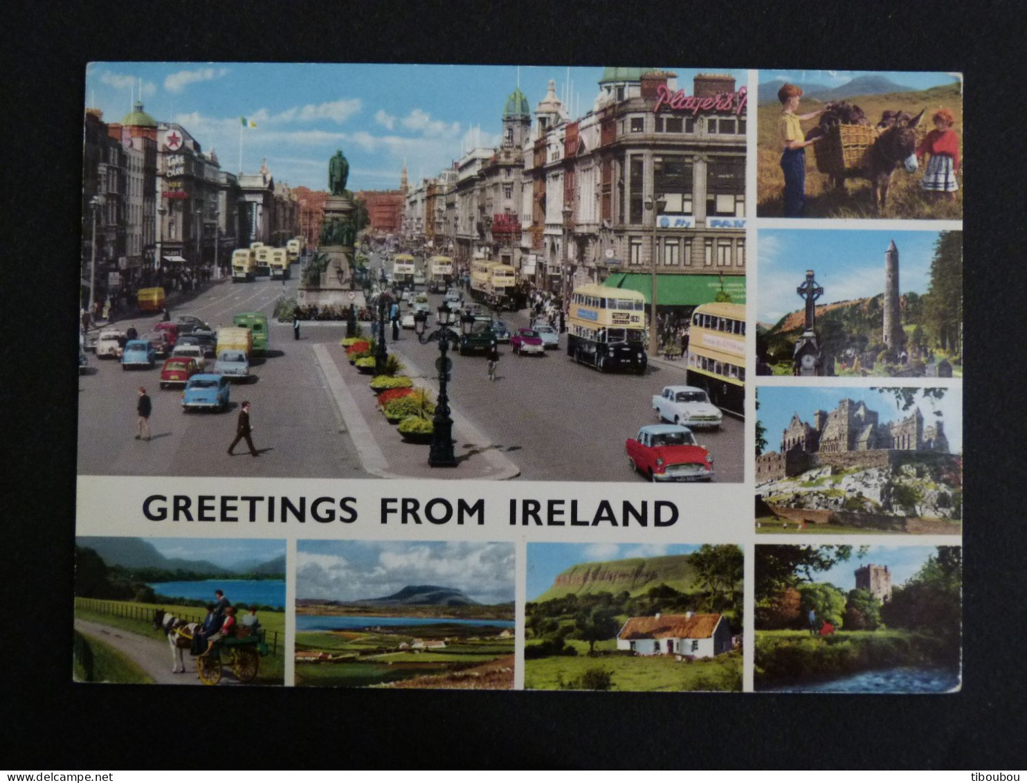 IRLANDE IRELAND EIRE AVEC YT 260 CERF ELAN DEER STAG - GREETINGS MULTIVUES - Briefe U. Dokumente