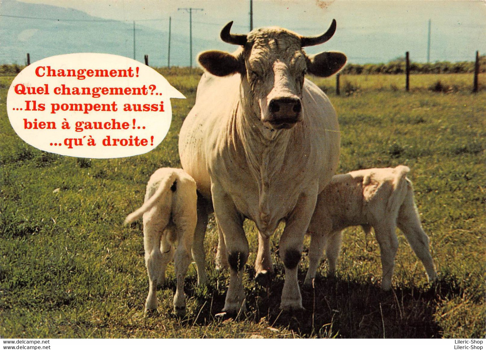 Humour Vaches " Changement ! Quel Changement ?..... " - Vaches