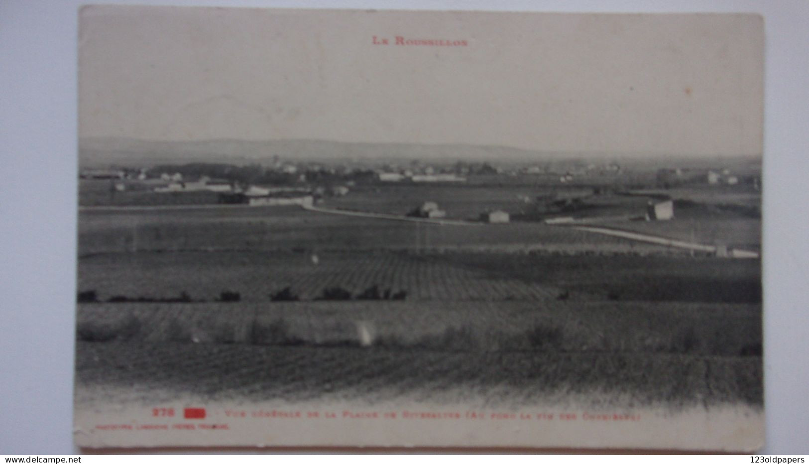 66  VUE GENERALE PLAINE DE RIVESALTES 1917 - Rivesaltes