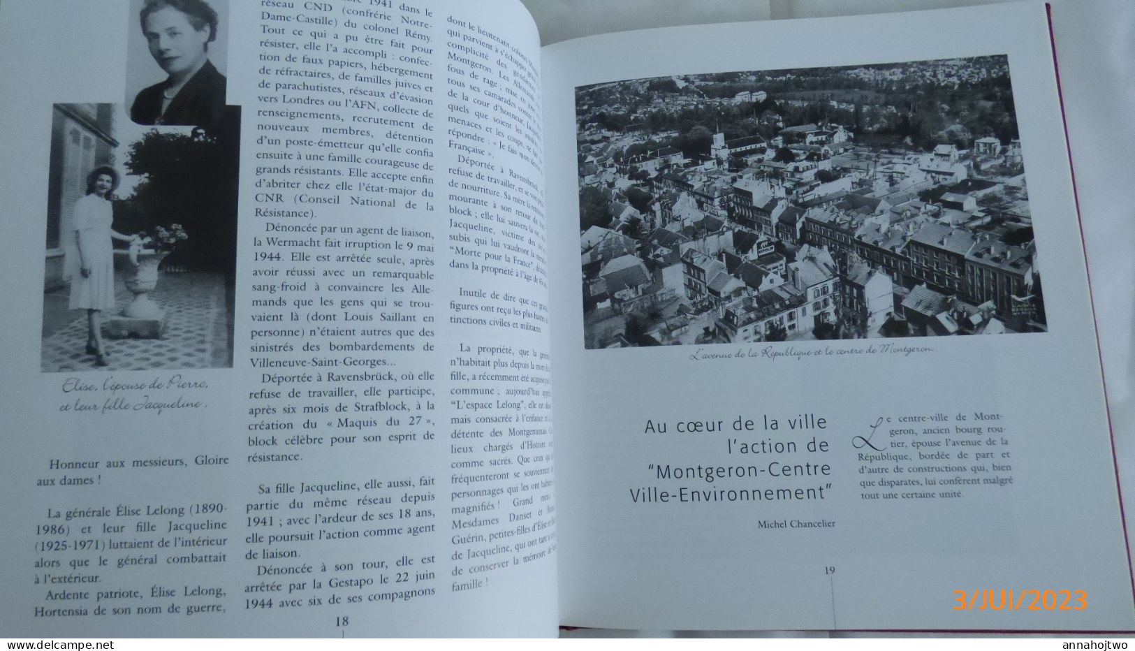 Essonnes / * MONTGERON Au XX° Siècle *  Par Michel Chancelier . - Ile-de-France