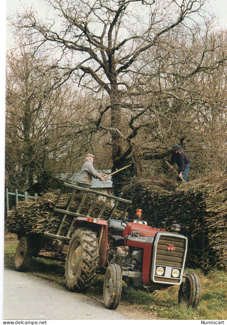 Saint-Lyphard Pingrin Animée Déchargement De Fagots Tracteur Métiers - Saint-Lyphard