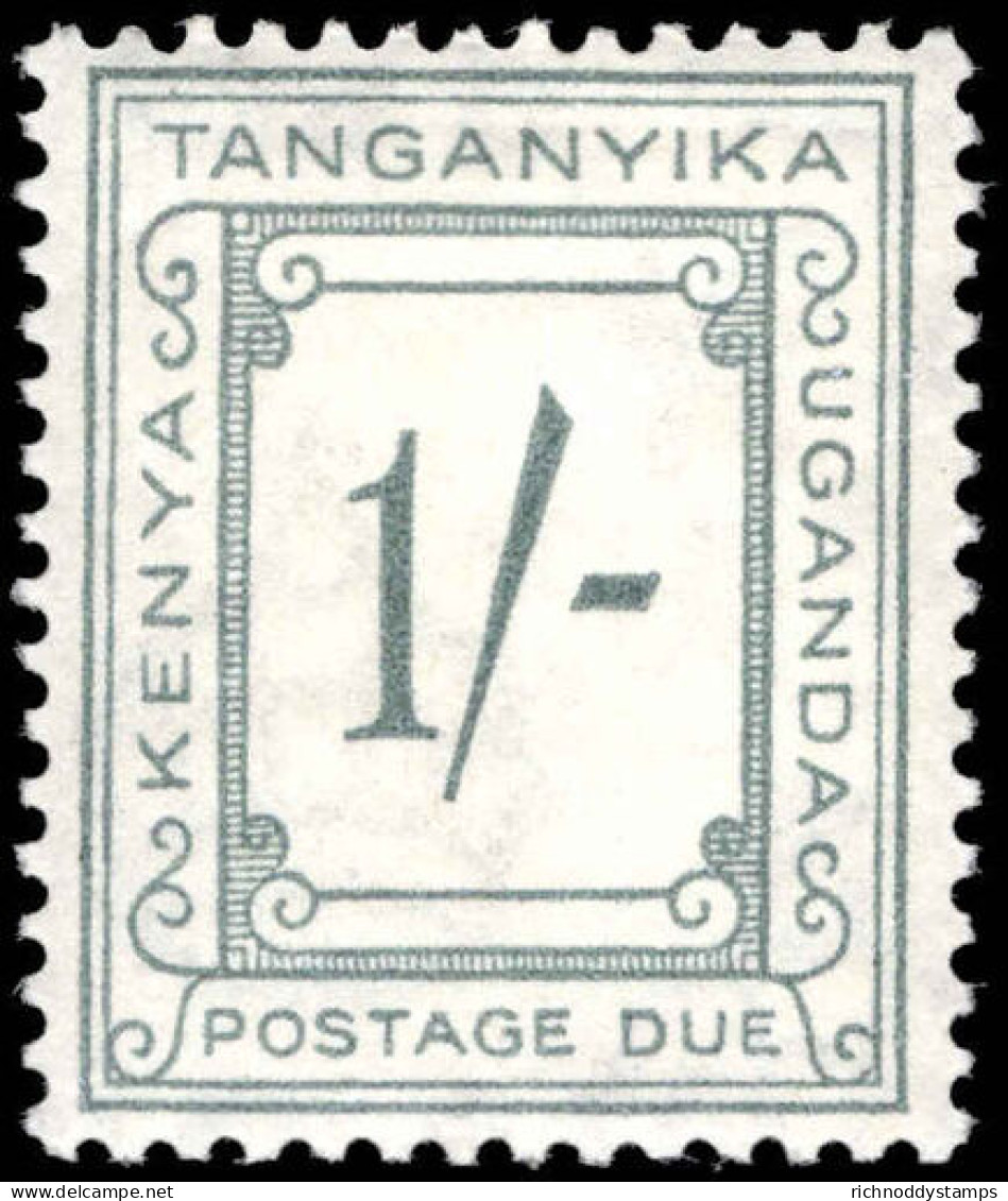 Kenya And Uganda 1935-60 1s Grey Postage Due Lightly Mounted Mint. - Kenya & Uganda