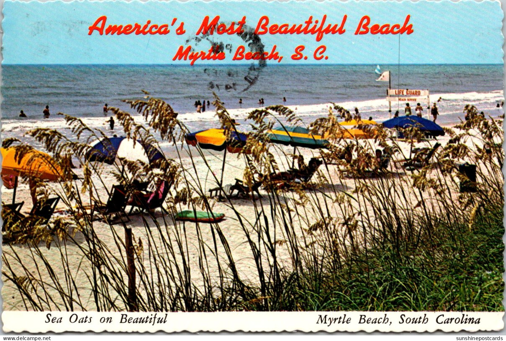 South Carolina Myrtle Beach Sea Oats On America's Most Beautiful Beach 1974 - Myrtle Beach
