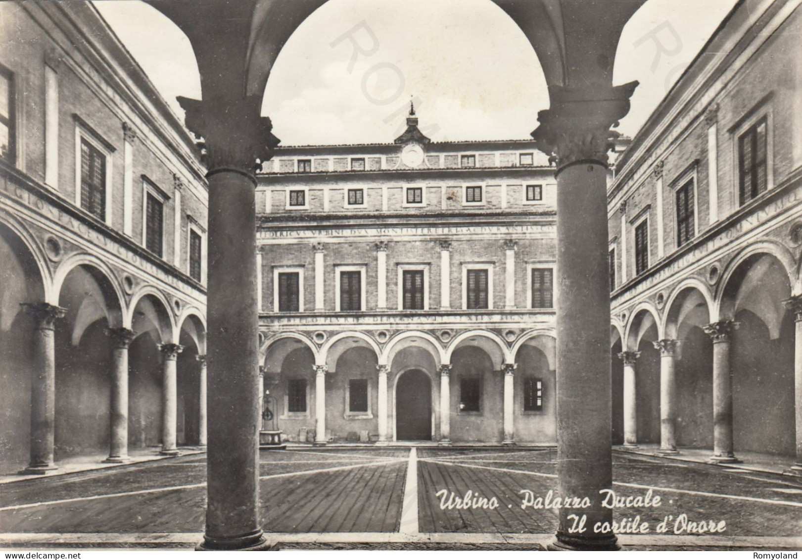 CARTOLINA  URBINO,MARCHE-PALAZZO DUCALE-IL CORTILE D'ONORE-STORIA,MEMORIA,CULTURA,RELIGIONE,BELLA ITALIA,NON VIAGGIATA - Urbino