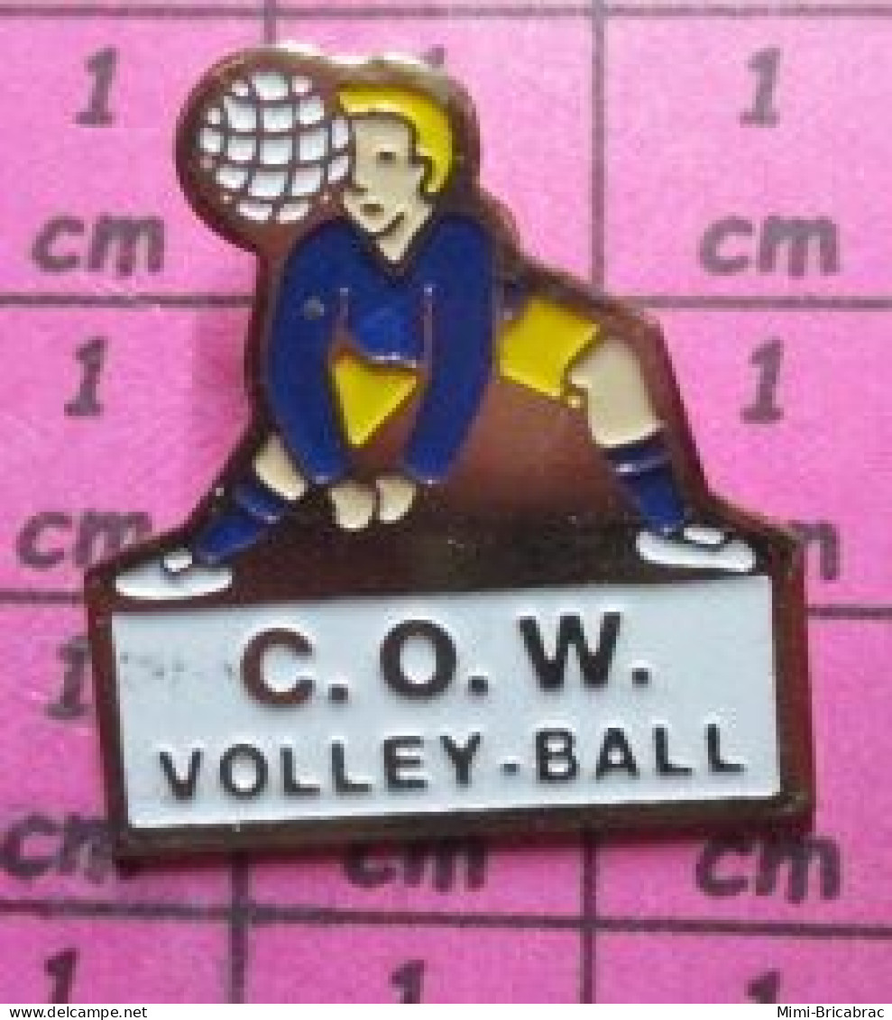 1619 Pin's Pins / Beau & Rare /  SPORTS / CLUB DE VOLLEY-BALL C.O.W. - Volleyball