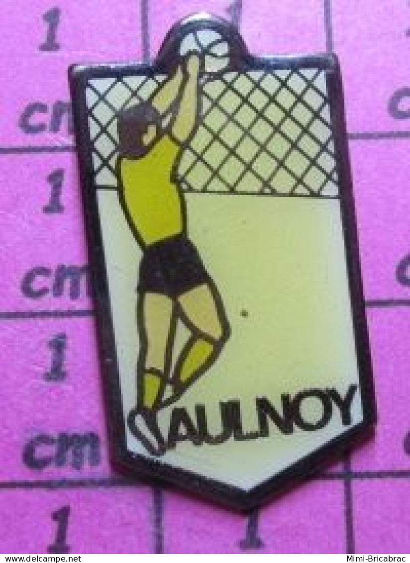 1619 Pin's Pins / Beau Et Rare / VILLES / CLUB VOLLEY-BALL AULNOY - Volleybal