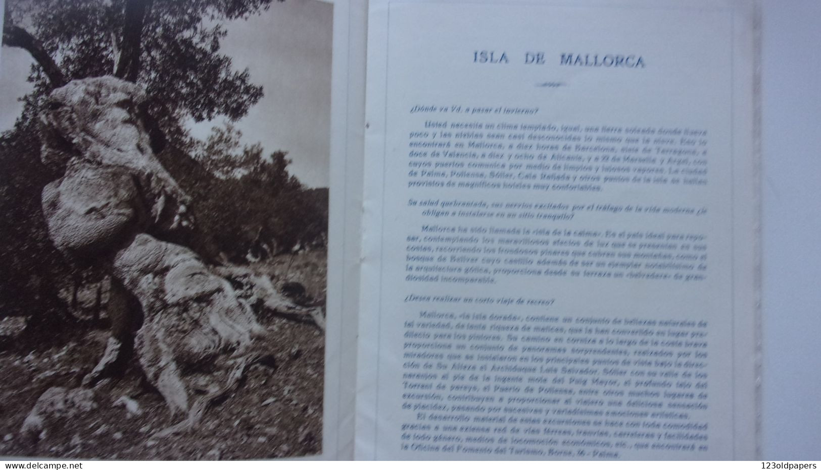 MALLORCA ESPAGNE EN ANGLAIS  MAJORQUE MALLORCA - Toeristische Brochures