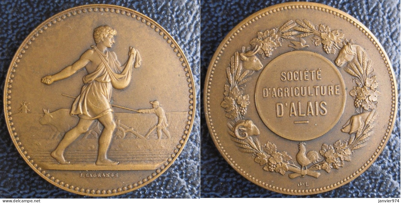 Alès – Medaille En Bronze Société D’Agriculture D’Alais Gard, Par Lagrange - Professionals/Firms
