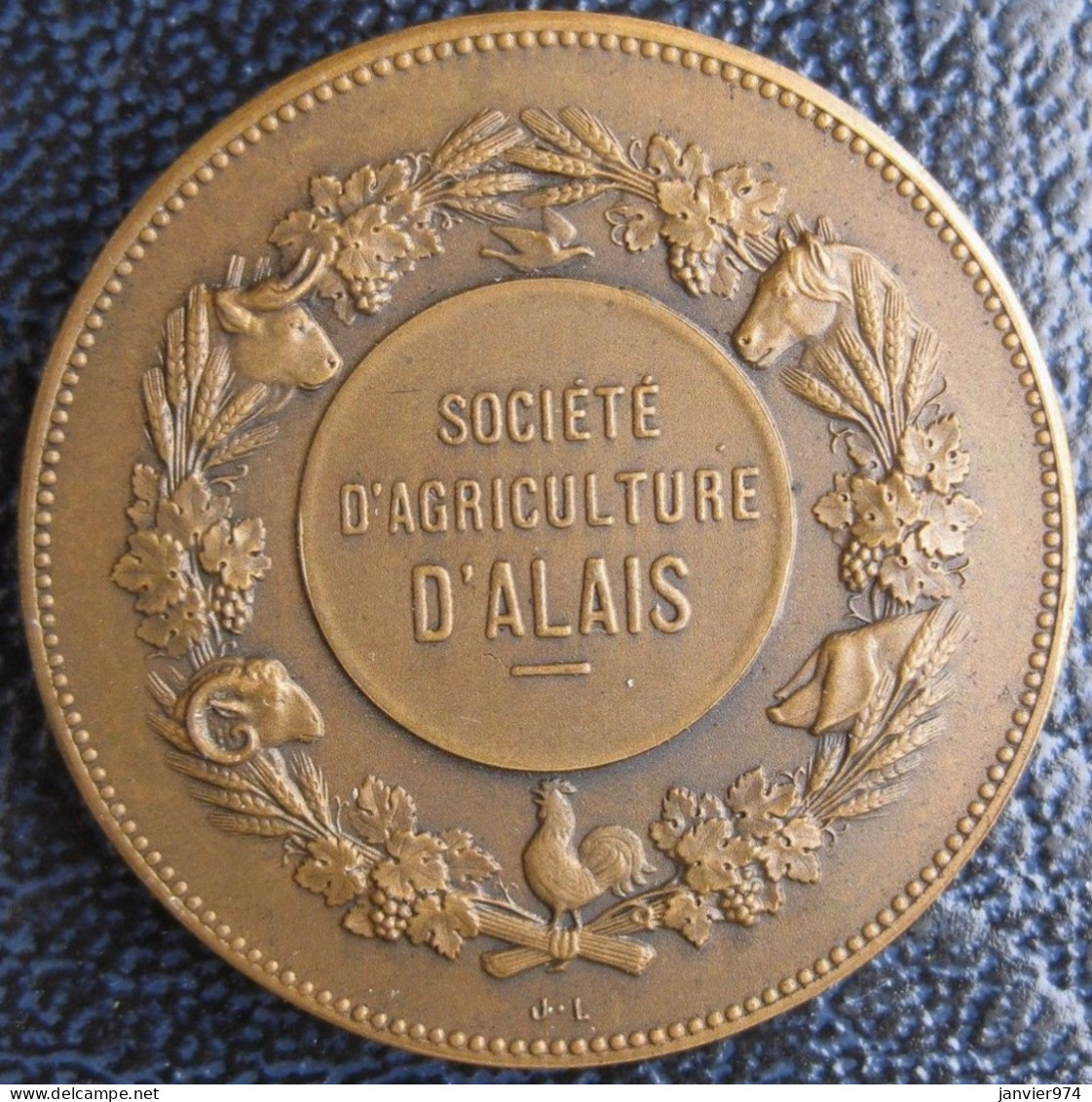 Alès – Medaille En Bronze Société D’Agriculture D’Alais Gard, Par Lagrange - Professionals/Firms