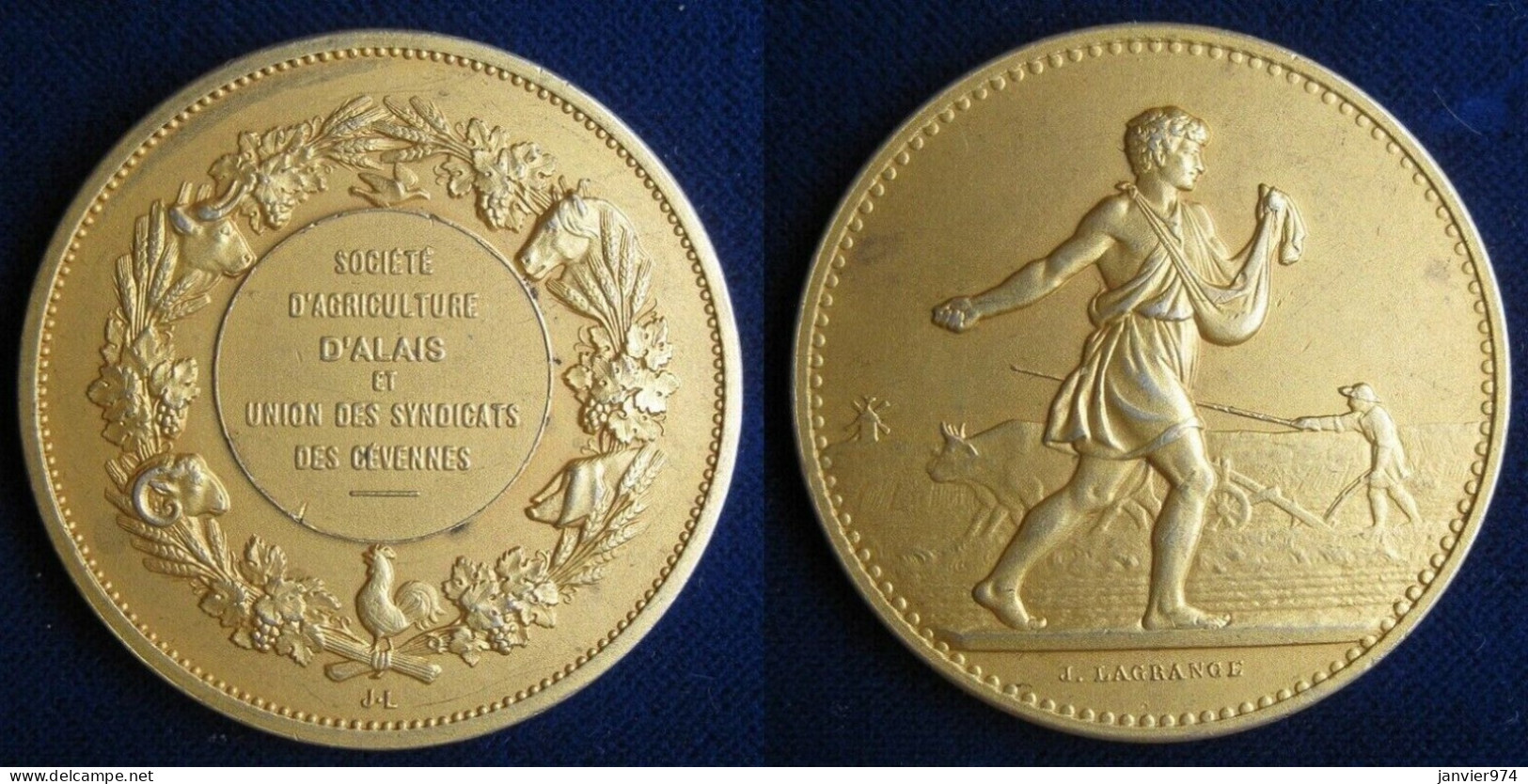 Médaille En Argent Vermeil. Société Agriculture Alais - Gard . Union Syndicats Des Cévennes - Professionals/Firms