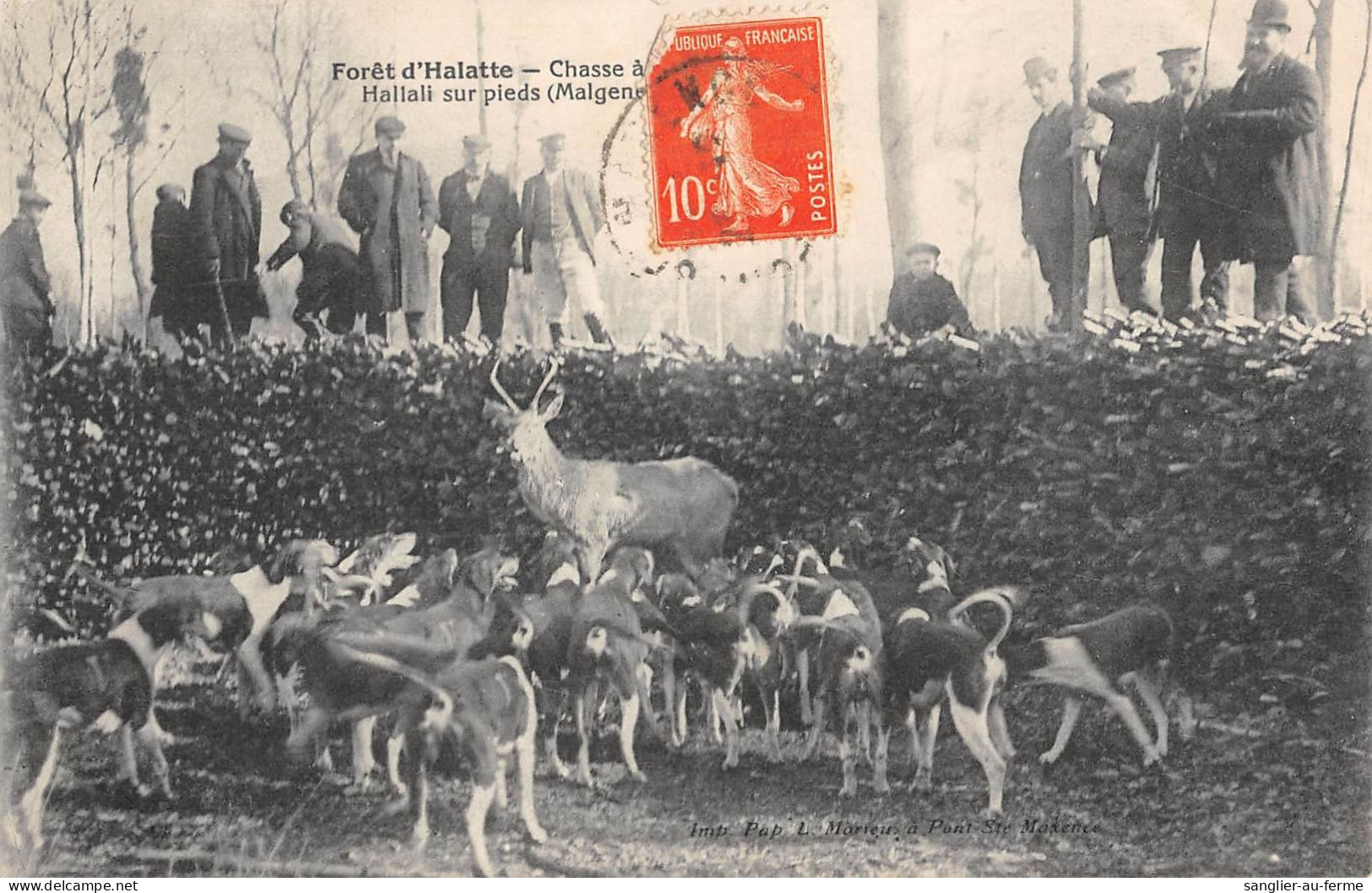 CPA 60 FORET HALATTE / CHASSE A COURRE / HALLALI SUR PIEDS / CHIENS AU FERME / ANGLO - Autres & Non Classés