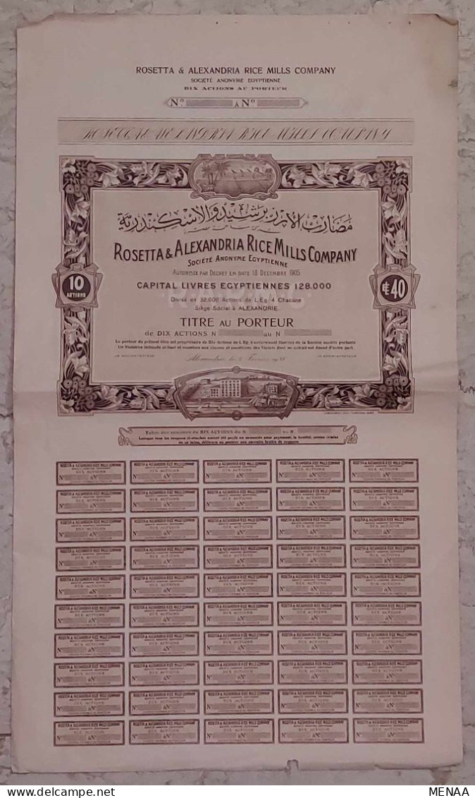 EGYPT - Rosetta & Alexandria Rice Mills Company(10 Actions) (Egypte) (Egitto) (Ägypten) (Egipto) (Egypten) Africa - Afrika