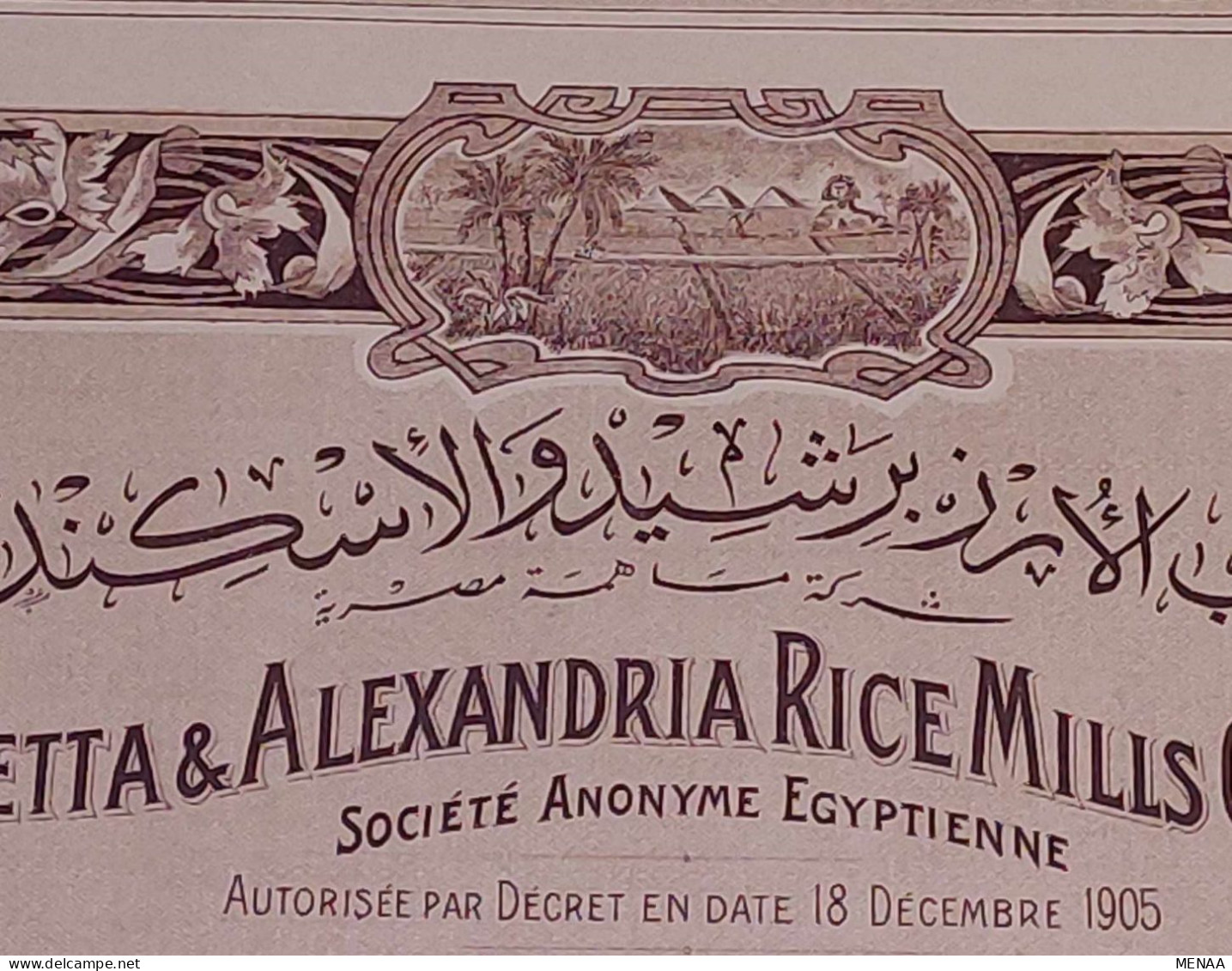 EGYPT - Rosetta & Alexandria Rice Mills Company(10 Actions) (Egypte) (Egitto) (Ägypten) (Egipto) (Egypten) Africa - Afrique