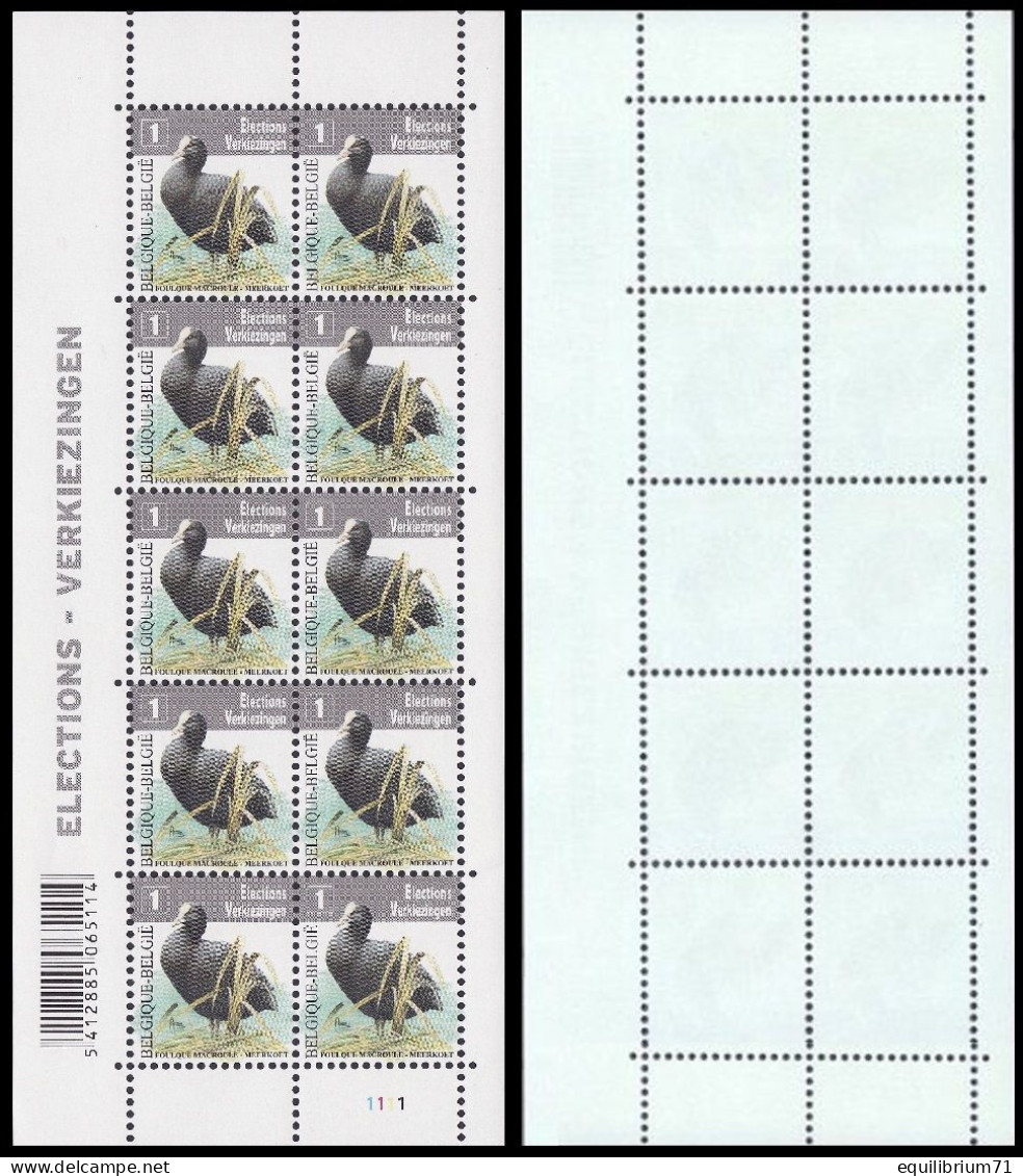 4042** Buzin - Feuillet Foulque Macroule/Vel Meerkoet - Gomme Blanche Mat/Witte Matte Gom - Planche/Plaat I - Elections - 2001-2010