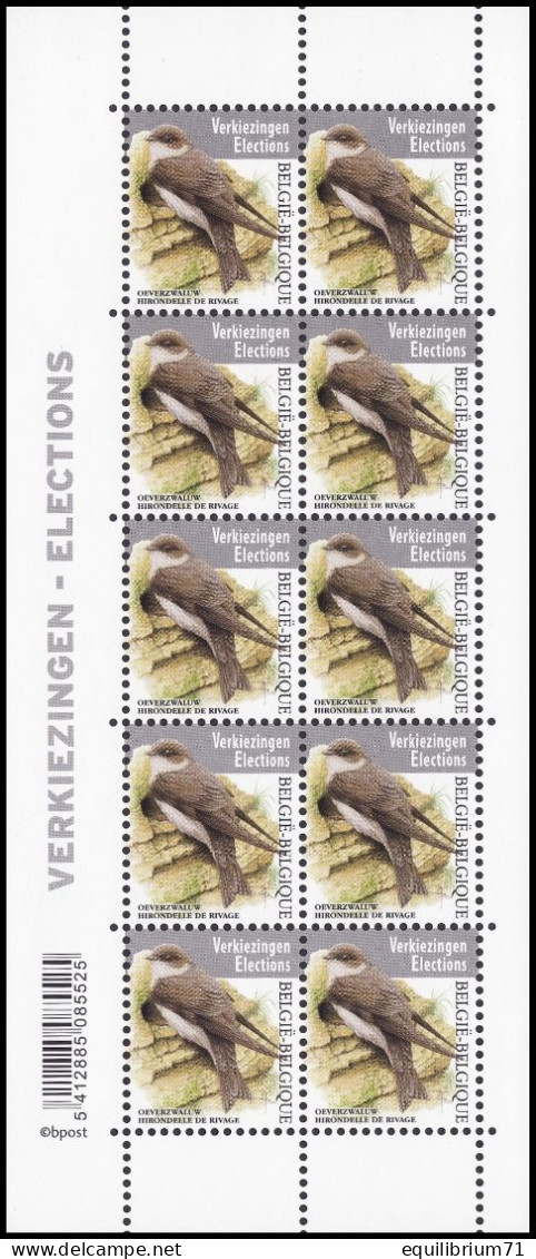 4840** - Hirondelle De Rivage/Oeverzwaluw/Bank Schlucken/Bank Swallow - Feuillet/Vel - Élections/Verkiezingen - BUZIN - 2011-2020