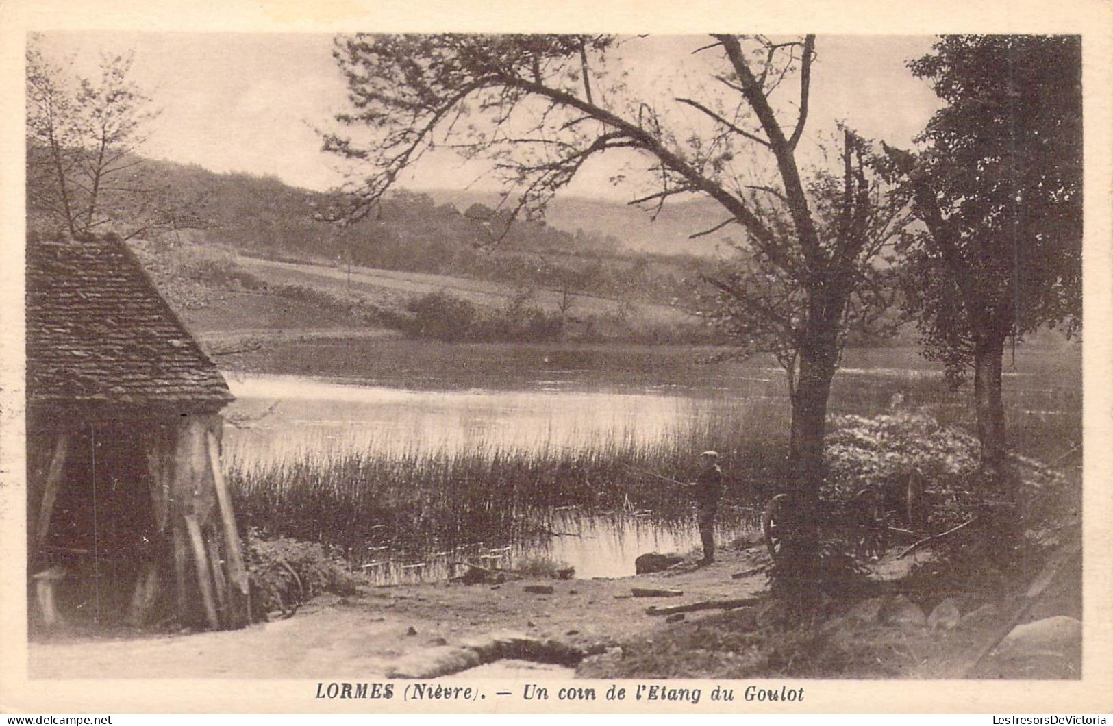 FRANCE - 58 - LORMES - Un Coin De L'etang Du Goulot - Edition Joyeux - Carte Postale Ancienne - Lormes