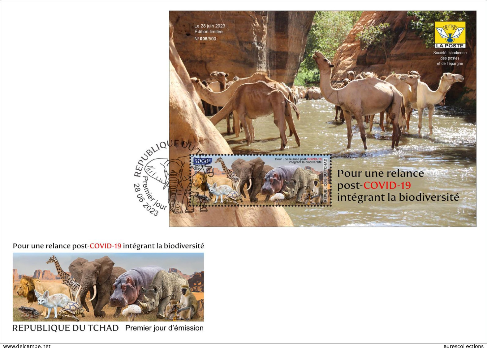 CHAD TCHAD 2023 SHEET FDC - MONKEYS LION ELEPHANT FROGS HIPPOPOTAMUS RHINOCEROS FOX MUSHROOMS TUTLE GIRAFFE - Tchad (1960-...)