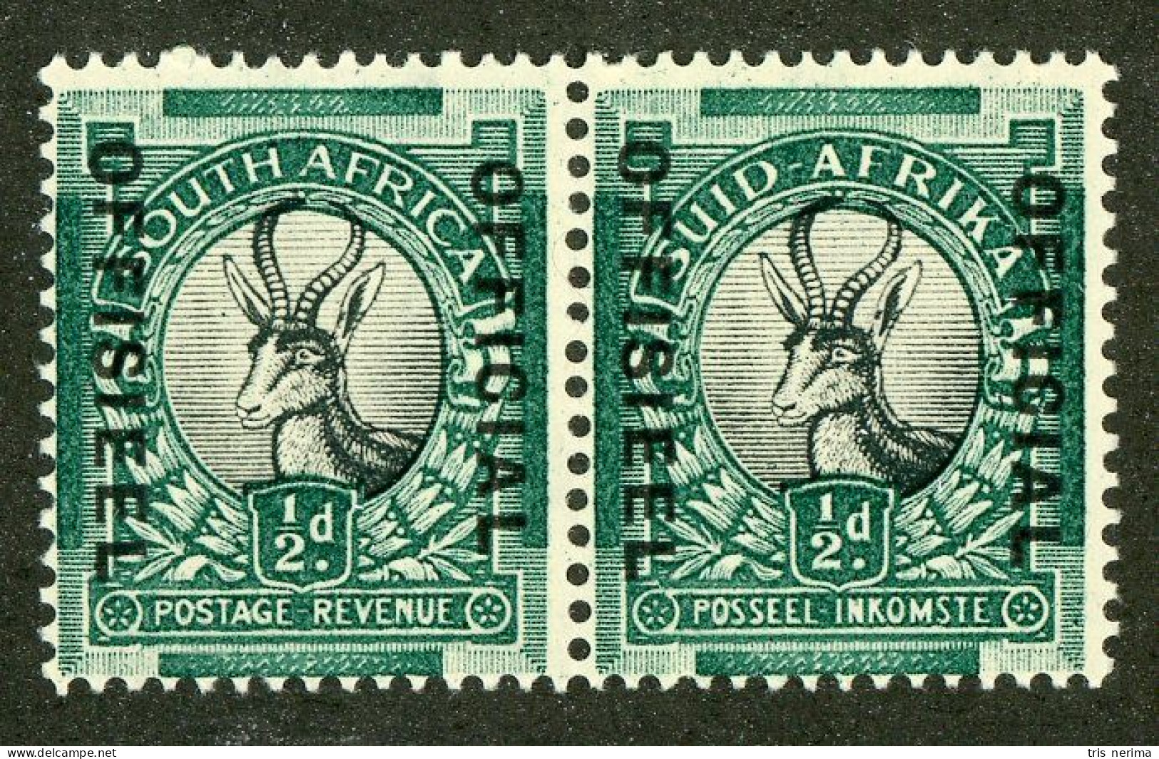 5587 BCx S. Africa 1935 Scott O-21 M*lh (Lower Bids 20% Off) - Oficiales