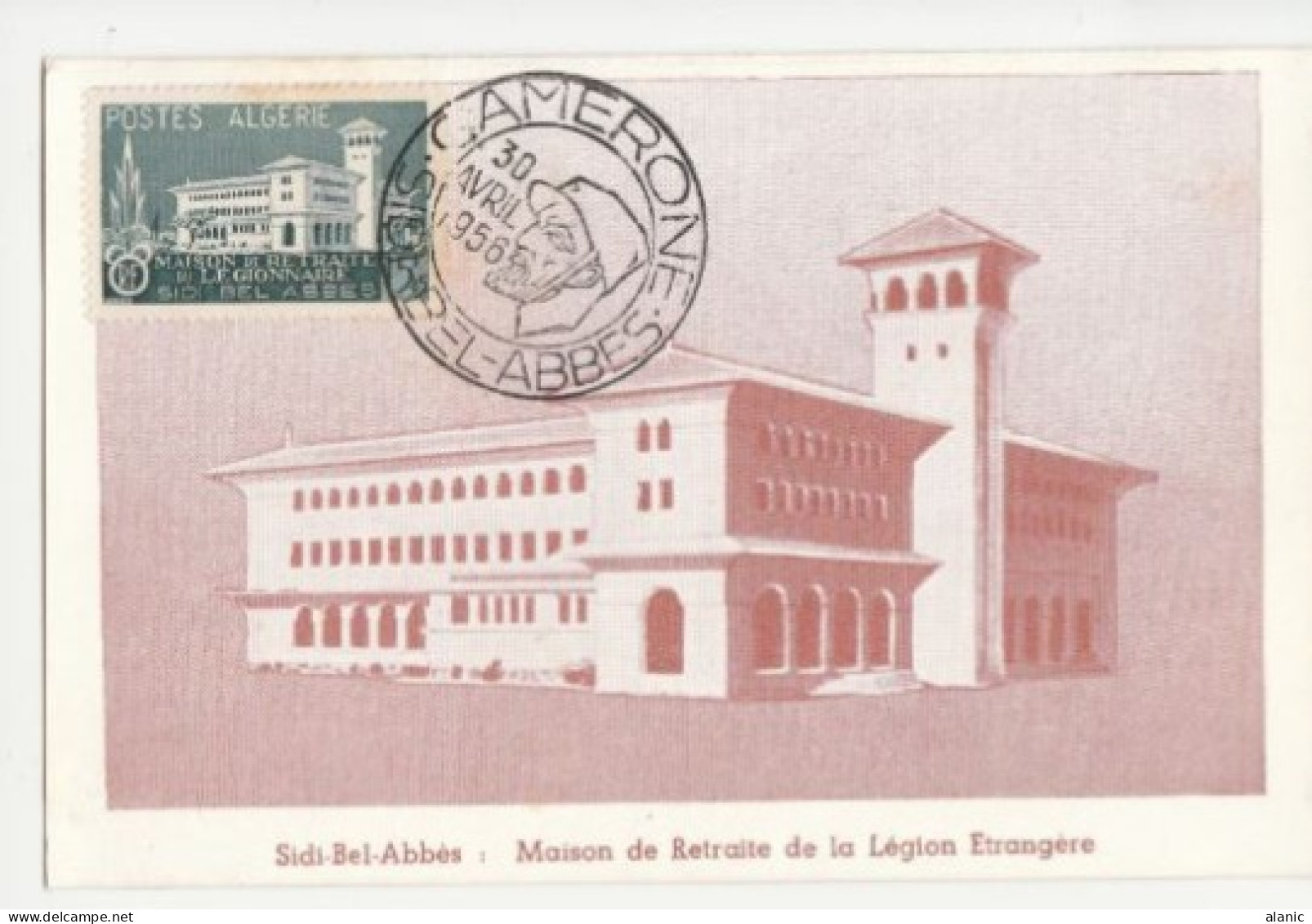 ALGERIE-Carte Maximum- N°334 CAMERONE SIDI BEL ABBES - Cartes-maximum