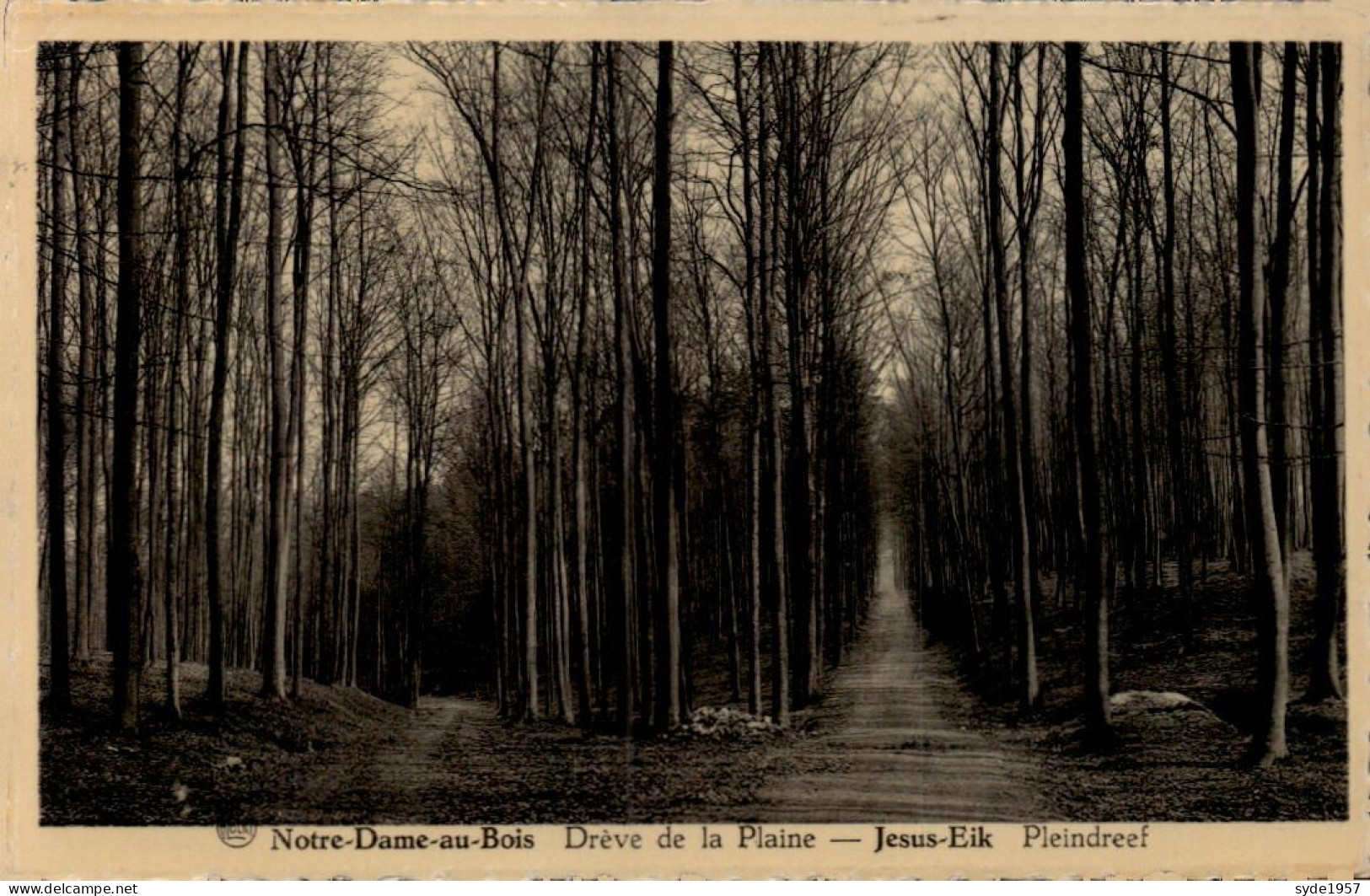 Notre-Dame-au-Bois Drève De La Plaine / Jesus-Eik Pleindreef - Overijse