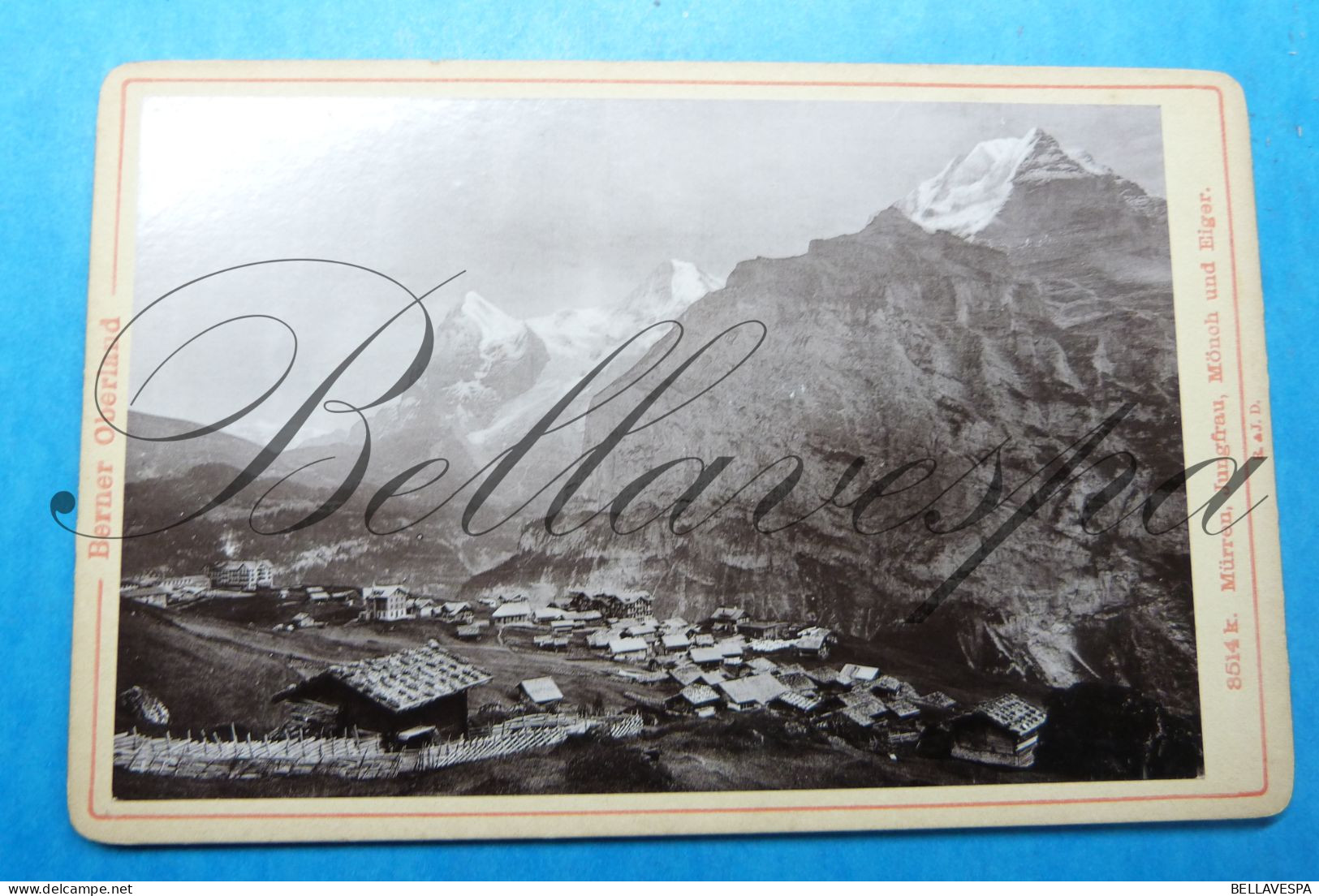 Berner Oberland Interlaken Mürren  Kleine Scheidegg Mönch Eiger Jungfrau Montagne Alpinisme Photo Grand Format Cartone - Ancianas (antes De 1900)