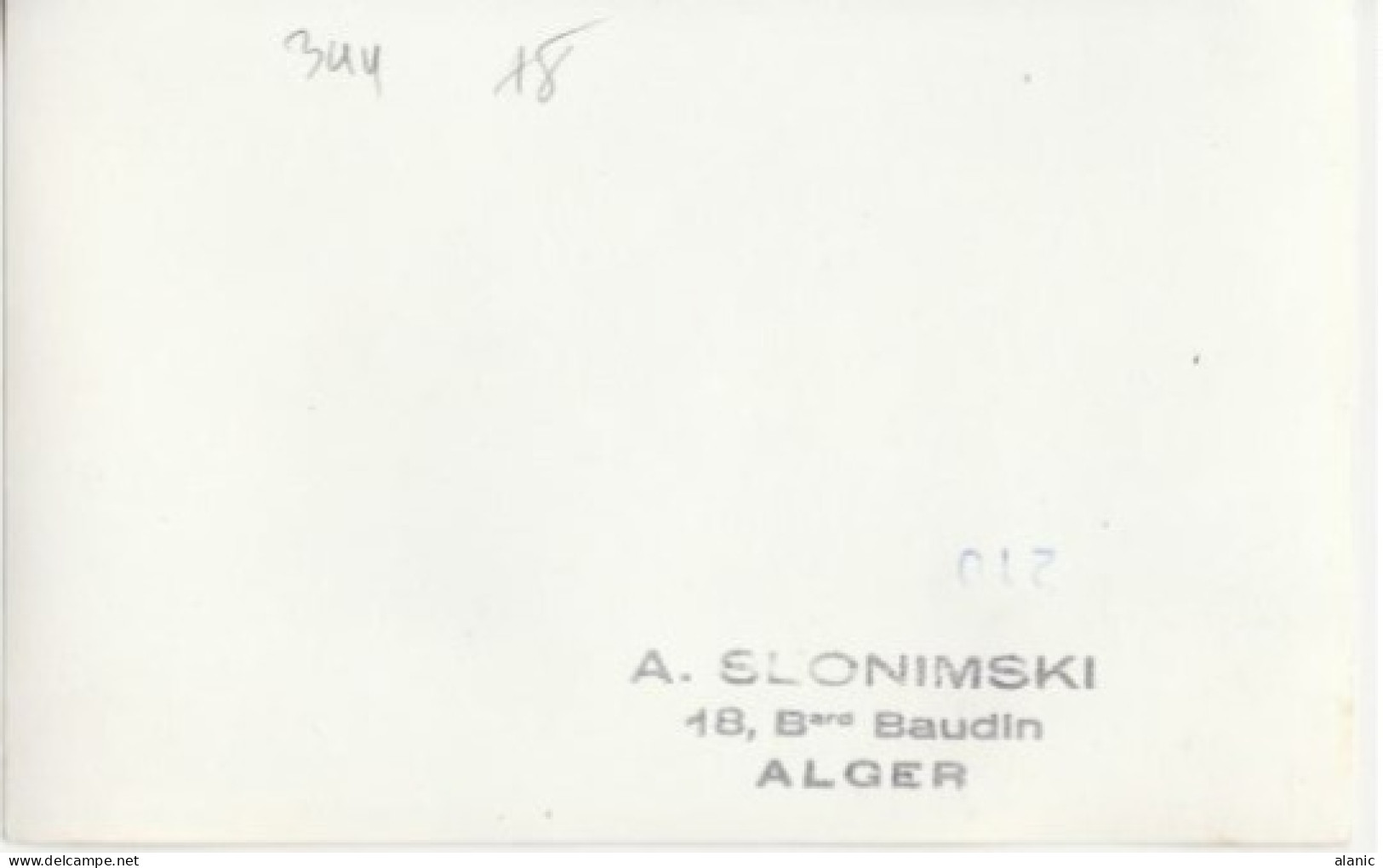 ALGERIE-Carte Maximum- N°344 CIGOGNE EN VOL - Maximumkarten