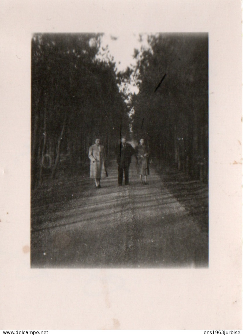 Ville Pommeroeul , 2 Petites Photos Bois De Ville Pommeroeul 1948 - Bernissart