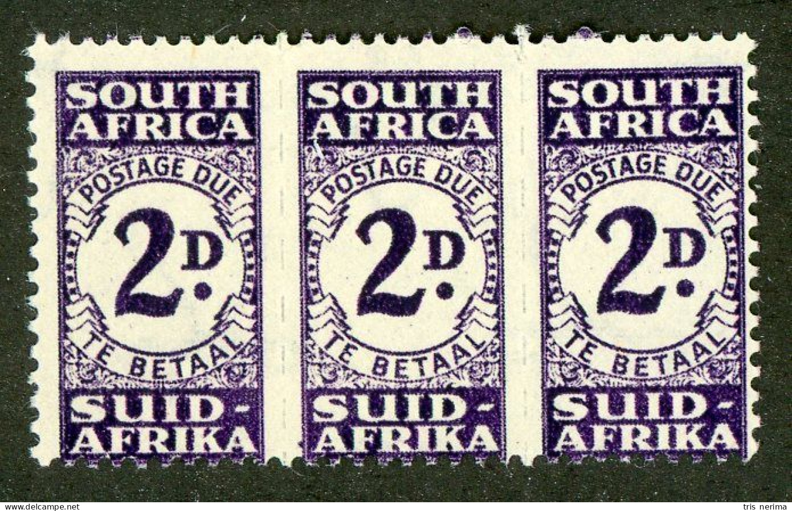 5613 BCx S. Africa 1943 Scott J-32 M* (Lower Bids 20% Off) - Portomarken