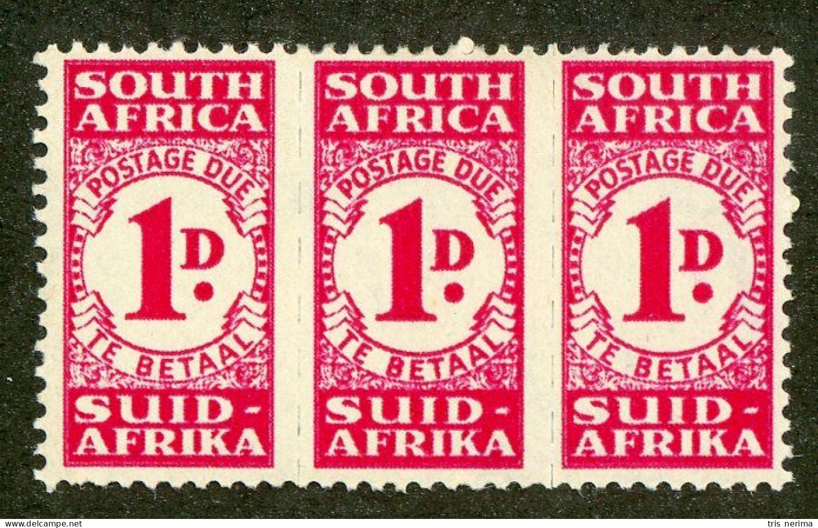 5615 BCx S. Africa 1943 Scott J-31 M* (Lower Bids 20% Off) - Portomarken