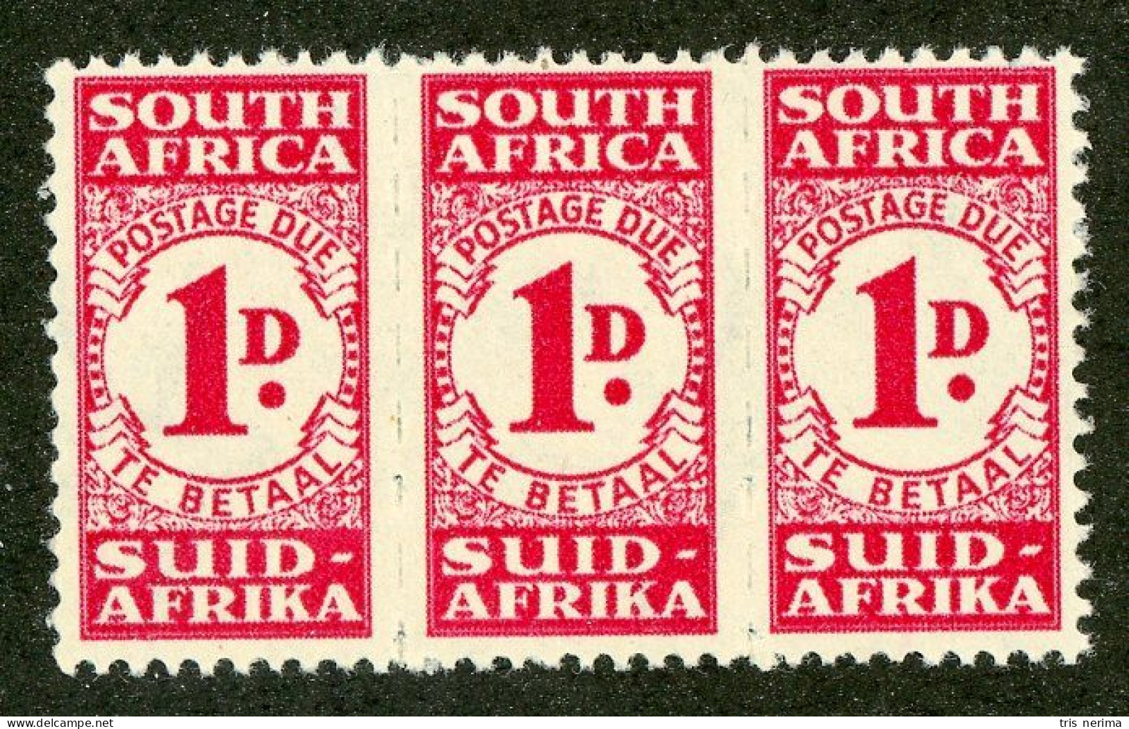 5617 BCx S. Africa 1943 Scott J-31 M* (Lower Bids 20% Off) - Portomarken