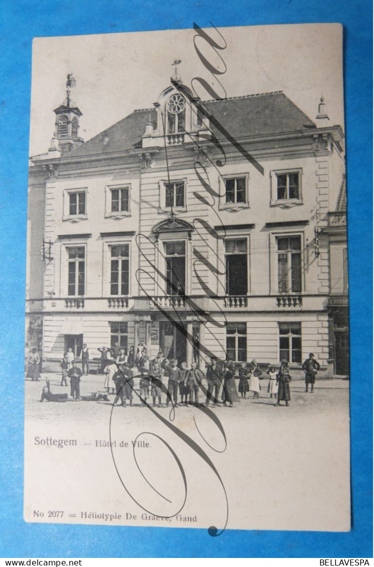 Zottegem Stadhuis  Gemeentehuis 1908 - Zottegem