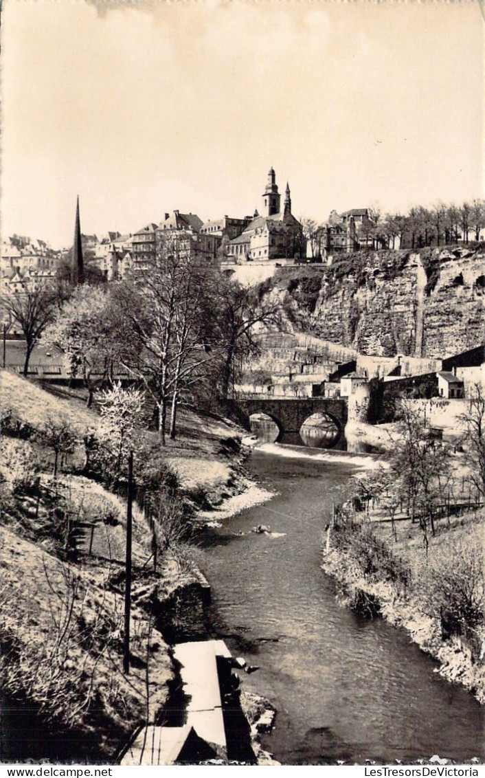 LUXEMBOURG - Stierchen Et Ville Haute - Carte Postale Ancienne - Luxemburg - Stad