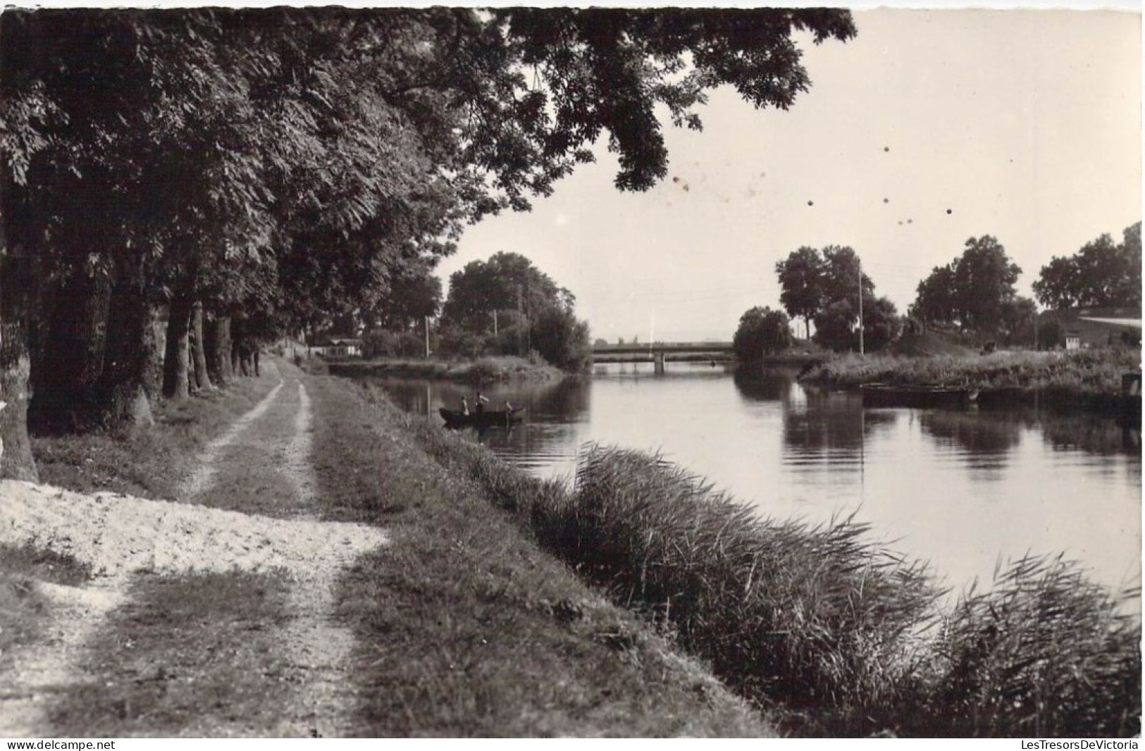 FRANCE - 55 - STENAY - La Meuse Et Le Pont - Carte Postale Ancienne - Stenay