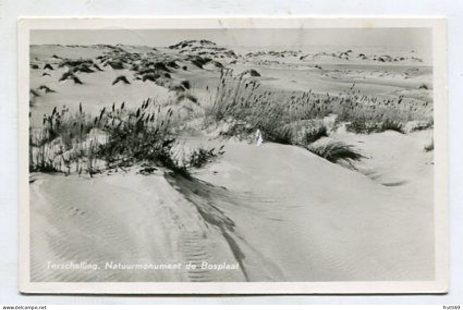 AK 144977 NETHERLANDS - Terschelling - Natuurmonument Du Bosplaat - Terschelling