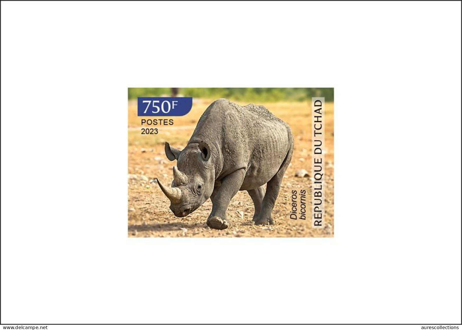 CHAD TCHAD 2023 DELUXE PROOF - RHINOCEROS - COVID-19 CORONAVIRUS PANDEMIC CORONA RECOVERY - MNH - Rhinoceros