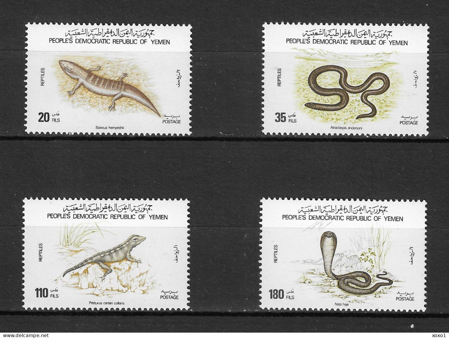 Yemen 1980 MiNr. 259 - 262 Südjemen (Volksrepublik) Reptiles, Snakes 4v  MNH** 7.00 € - Serpents