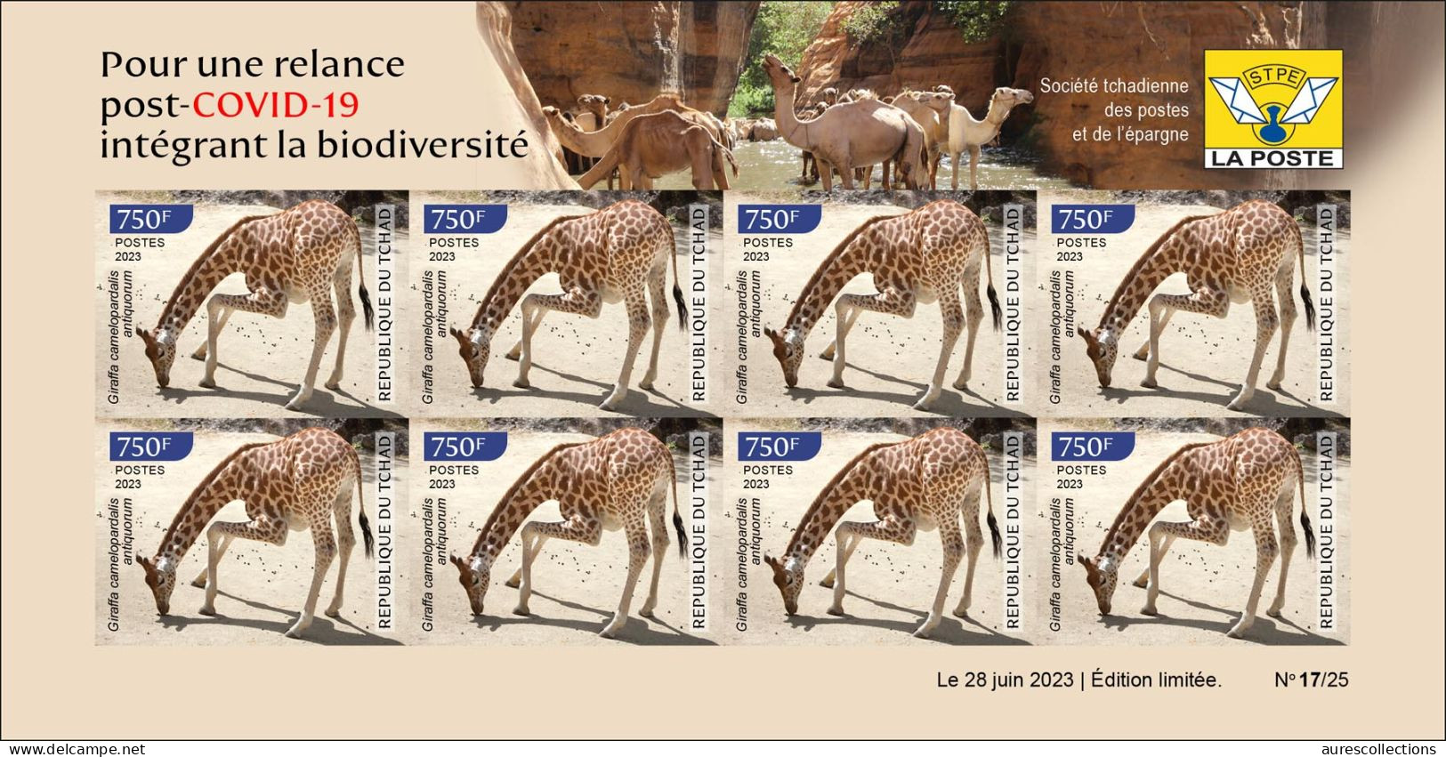 CHAD TCHAD 2023 IMPERF SHEET 8V - GIRAFE GIRAFES GIRAFFE GIRAFFES - COVID-19 CORONAVIRUS PANDEMIC CORONA RECOVERY - MNH - Giraffen